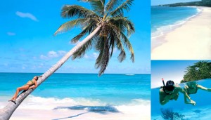 republica dominicana, 2x1 falabella republica dominicana 300x171 República Dominicana, 2X1 de Viajes Falabella y sus ofertas