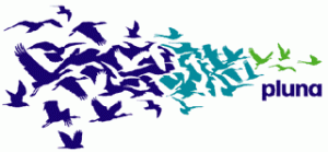 vuelos flyPluna flyPluna 300x139 Brasil y Uruguay con Pluna