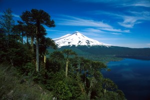 Puyehue Puyehue 300x199 Erupción no ha afectado centros turísticos de Puyehue