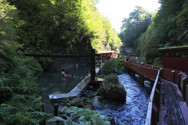 Termas Geométricas