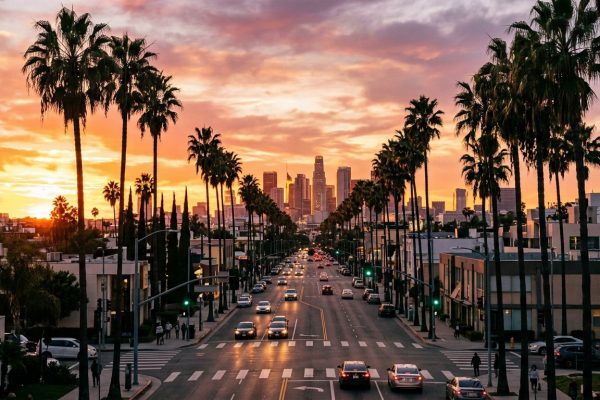 Bulevar con palmeras en Los Angeles al atardecer